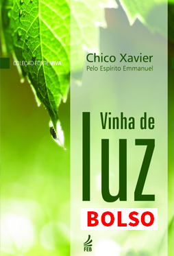 Vinha De Luz - Bolso